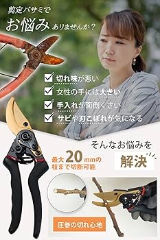 【ポッキー】剪定鋏 Amazon | みきかじや村 A型改良剪定鋏 8インチ金止 TS060 | 園芸