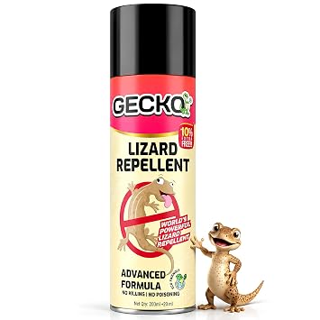 Shadow Securitronics Gecko Aerosol Based Odour Free Herbal Lizard Repellent Spray | Eco-Friendly & Biodegradable | Irritant &Chemical-Free | 220 ml (60 Days Protection) PK of 1-FORMULATION 10X