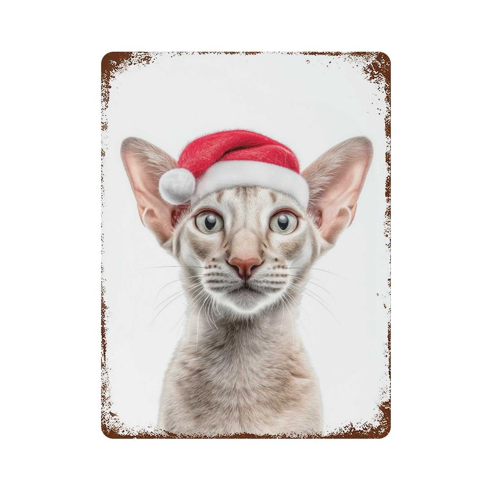 Oriental Shorthair Cat with Santa Hat Portrait Aged Metal Wall Plaque 15.7"x11.8", Industrial Home Decor for Pub, Kitchen And Man Cave Decor