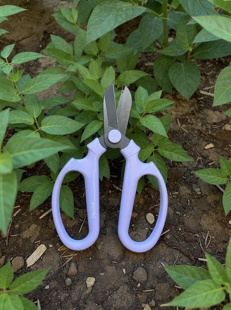 Garden Pruning Shears Scissors Carbon Steel Blades 6.7 In, Snapdragon - Lavender