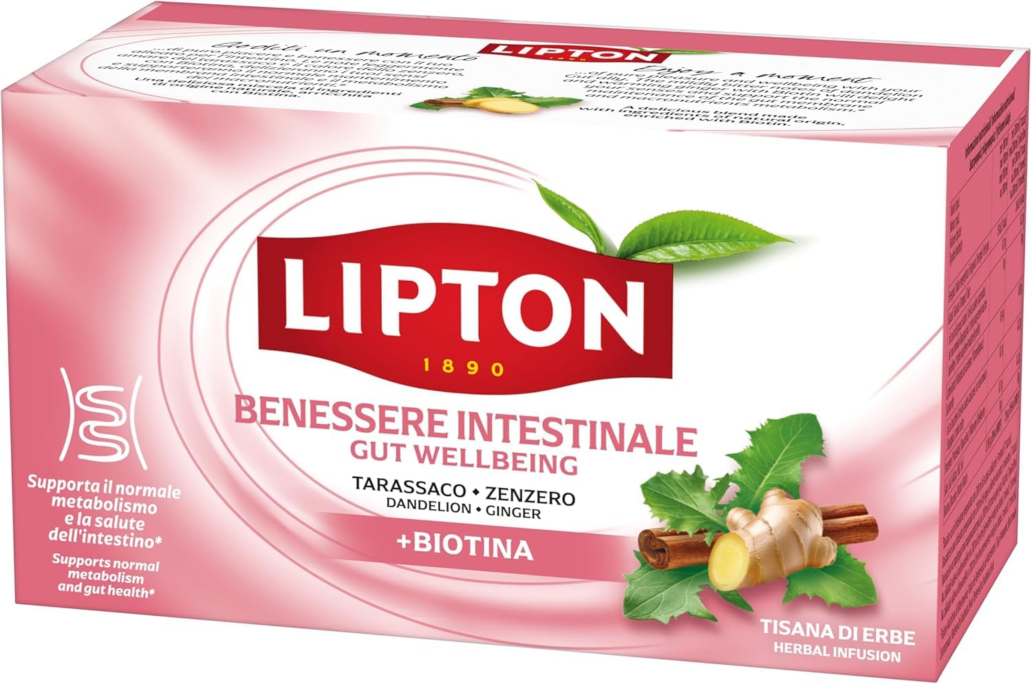 Italian Gourmet Bundle Kräutertee Darm Wohlbefinden mit Biotin 12x17 Teebeutel + Italian Gourmet Polpa, Kräuterinfusion mit Löwenzahn Ingwer Zimt Fenchel Süßholz Kurkuma und Chicorée