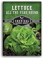 Survival Garden Seeds All The Year Round Lettuce - Slow-Bolting Butterhead Heirloom Non-GMO for Year-Round Harvests