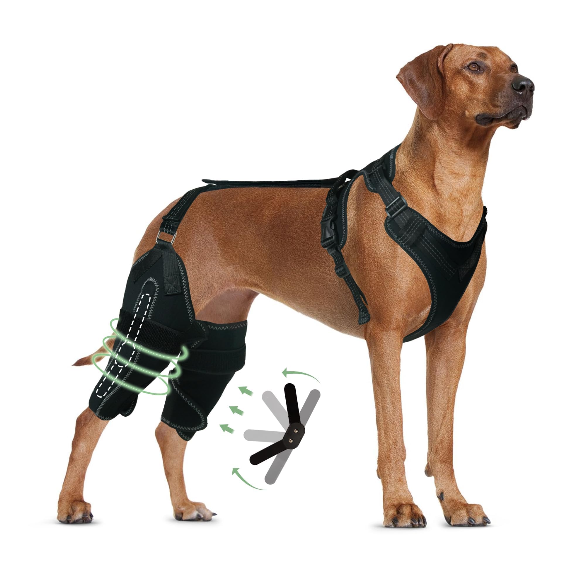 Dog Knee Brace for Torn ACL Hind Leg - Keeps Joints Warm and Stable, Upgraded Adjustable Leg Support (M, Hinges Knee Brace)