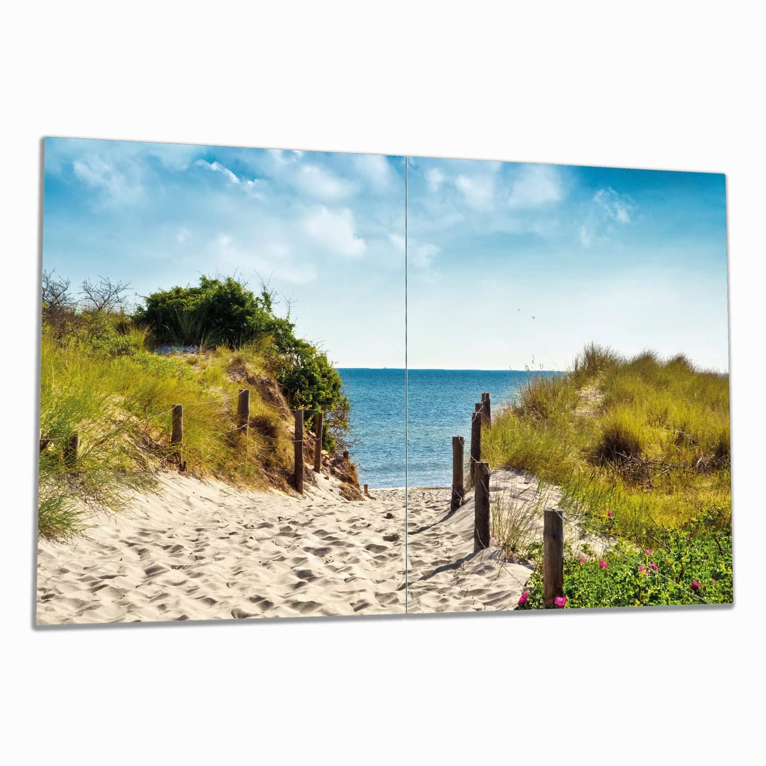 Wallario Herdabdeckplatte Aus Glas - Spritzschutz Mit Gecko-Motiv Für Ceranfelder