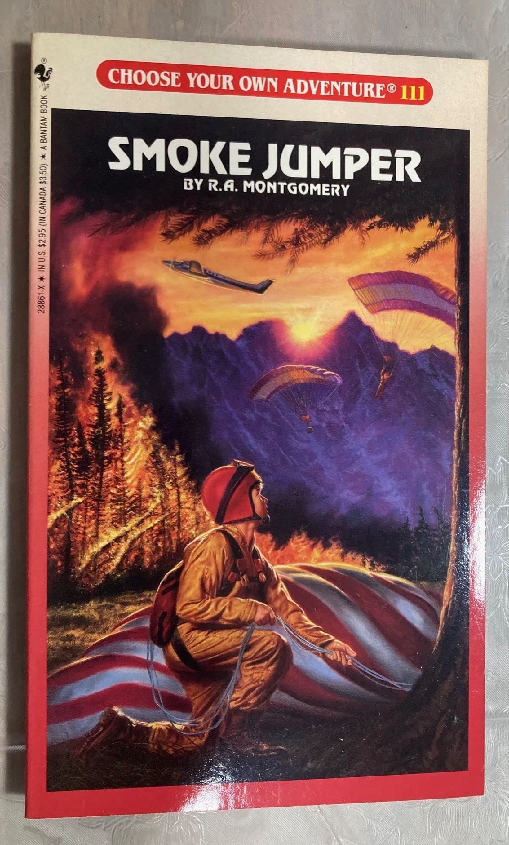 Buy SMOKE JUMPER: 111 (Choose Your Own Adventure S.) — BookShops.in