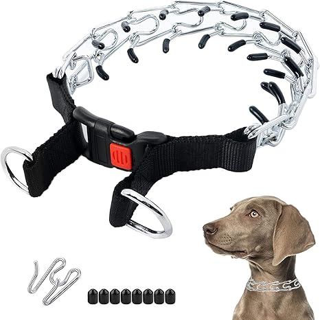 pinch collar amazon