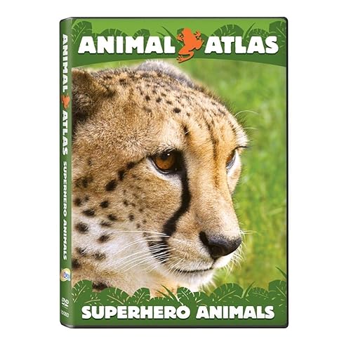 Vista 5 de Animal Atlas DVD Collection Animals and Us Kitten Party Pet Party Super Hero Animals