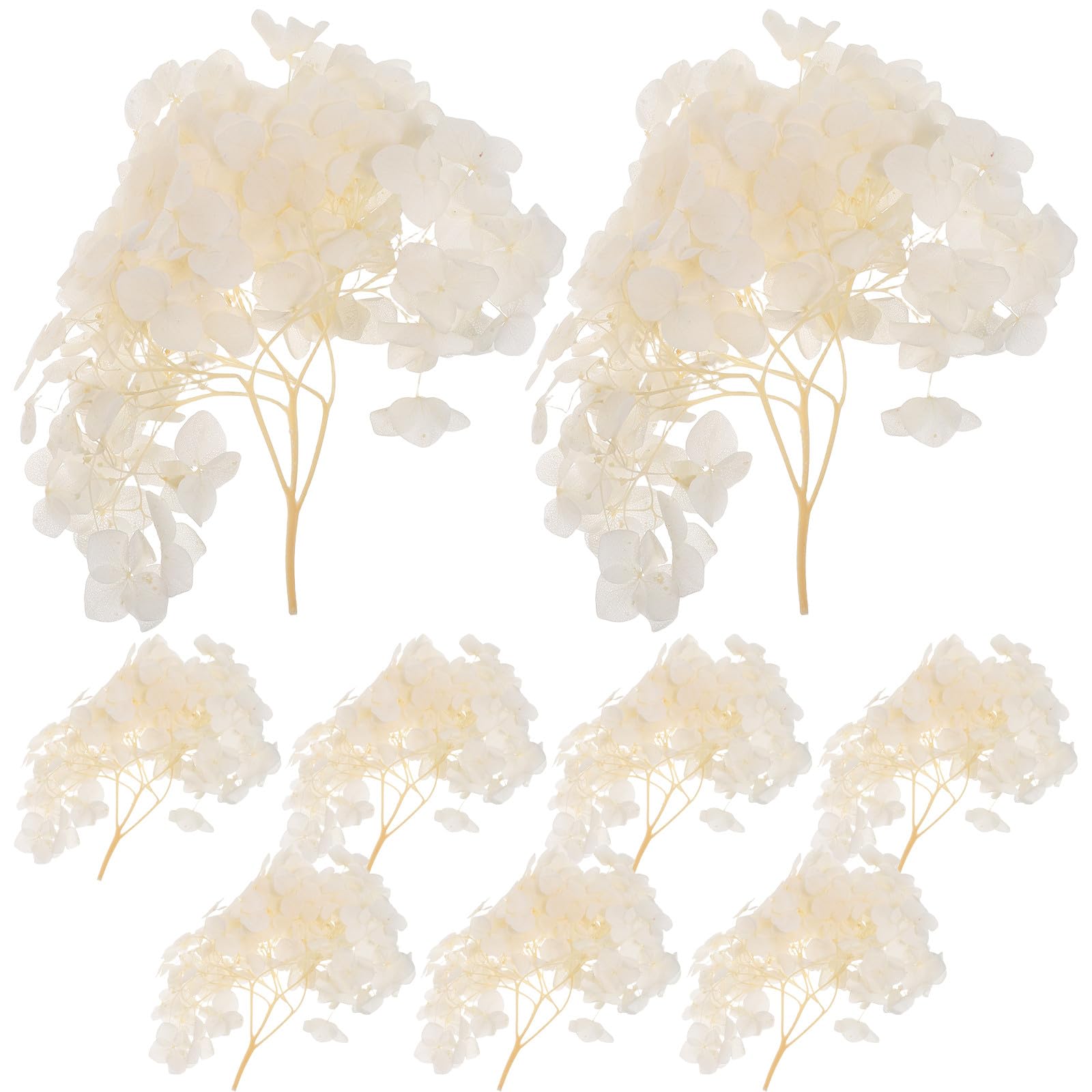 TOYANDONA 1 Juego de Flores secas de Hortensia - Pétalos de Hortensia Secos preservados - Pétalos de Confeti Naturales para Fiestas, decoración de Bodas, Manualidades y centros de Mesa de baño.