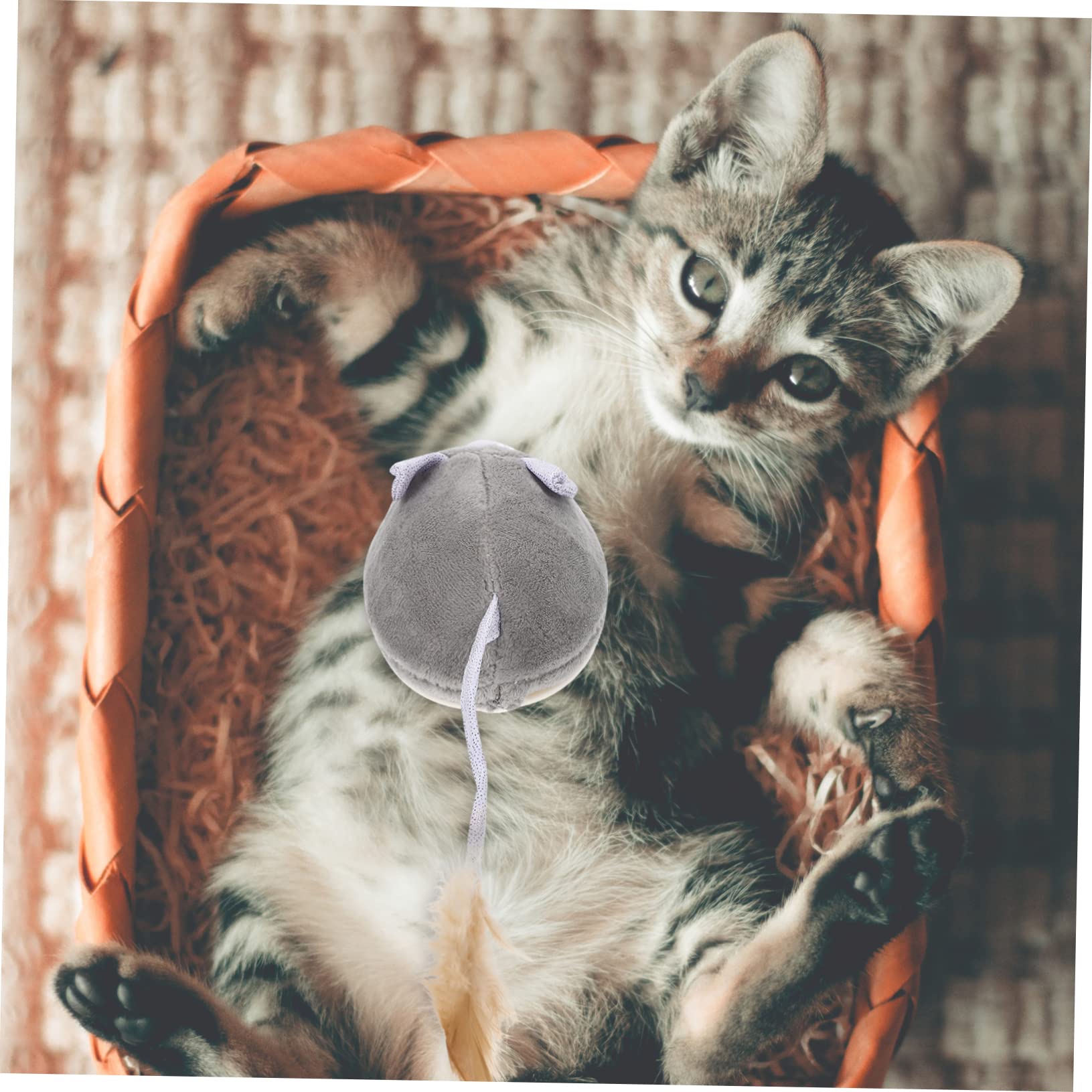 POPETPOP 3pièces Jouet pour Chat Animal avec Herbe à Chat Jouet Électronique Interactif pour Chatons Amusant Et Résistant Stimule Exercice Félin