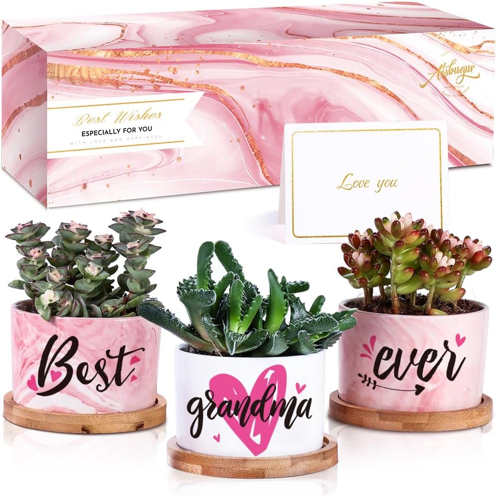 Grandma Gifts Mothers Day Gfts for Grandma with Beautiful Gift Box Gifts for Grandma Best Grandma Ever Gifts Birthday Gifts for Women Ceramic Succulent Pots Small Plant Pots 3 PCS