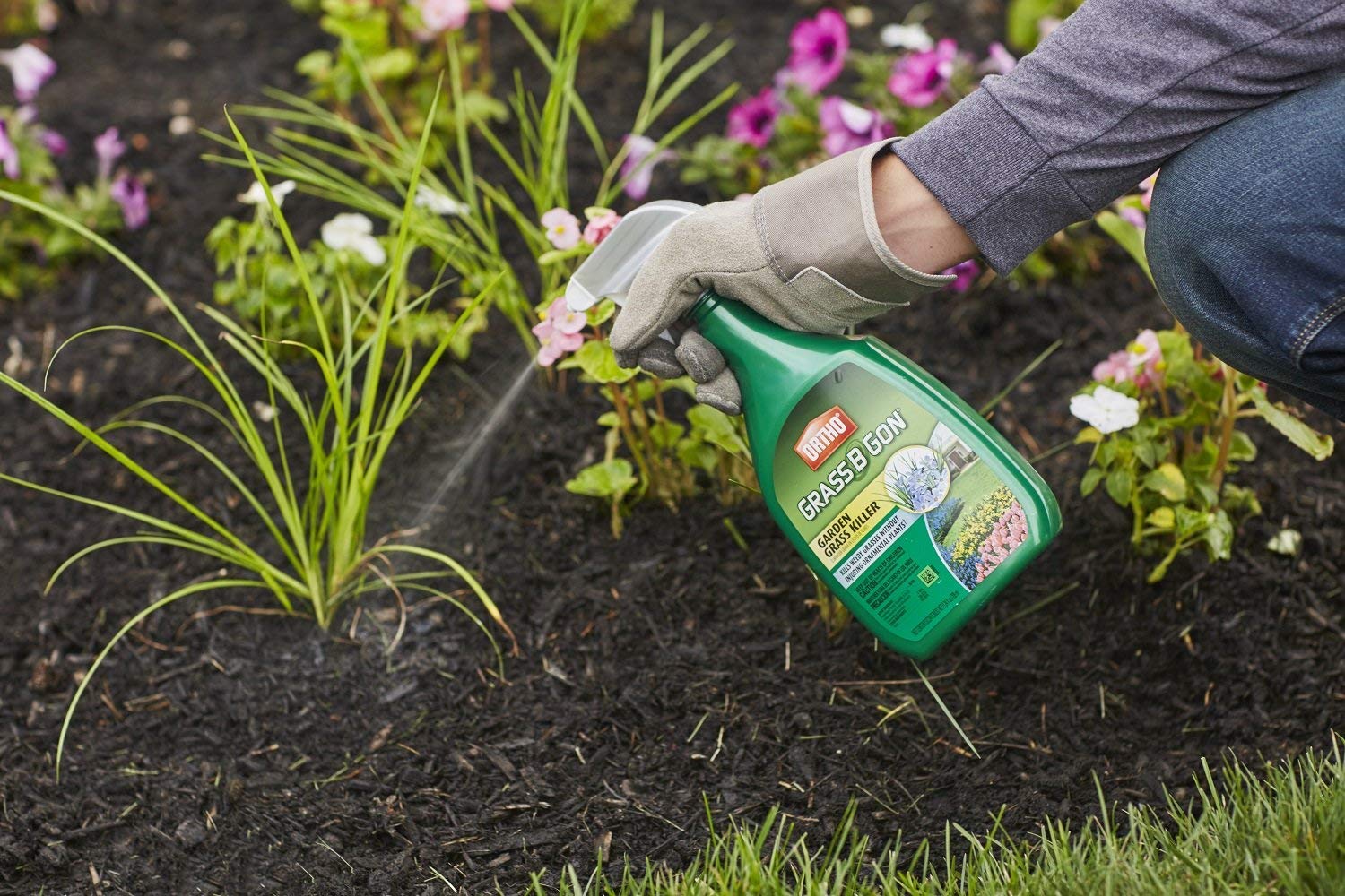 Ortho Grass B Gon Garden Grass Killer, 24-Ounce (3 Pack), Ready-to-Use, Spray, Weed Killer