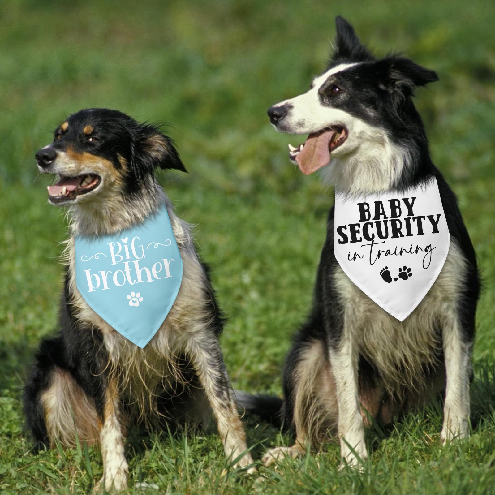 2 opakowania bandana dla psa Big Brother ogłoszenie o ciąży bezpieczeństwo dziecka podczas treningu ogłoszenie dziecka niebieski pies trójkątny szalik akcesoria dla małych średnich dużych psów kotów