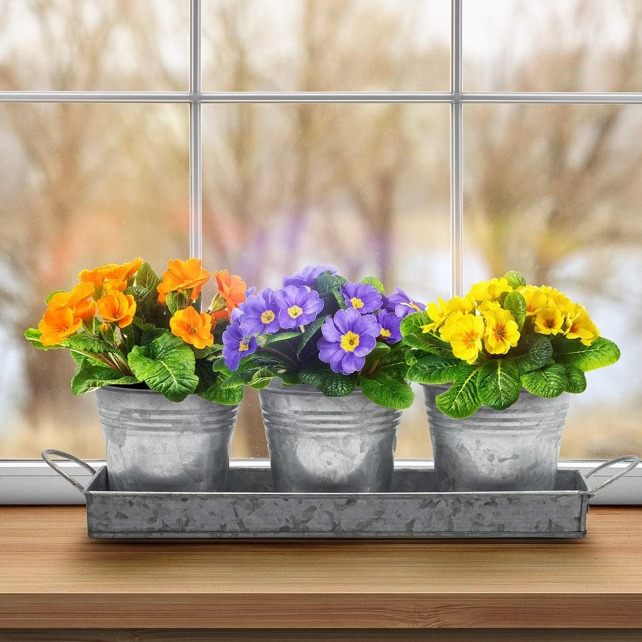 Sorbus Planter Pots and Tray Caddy, 3 Buckets with Handles, Great Windowsill Planter for Succulents, Herbs, Arts and Crafts, Vintage Rustic Farmhouse Décor, Galvanized Metal