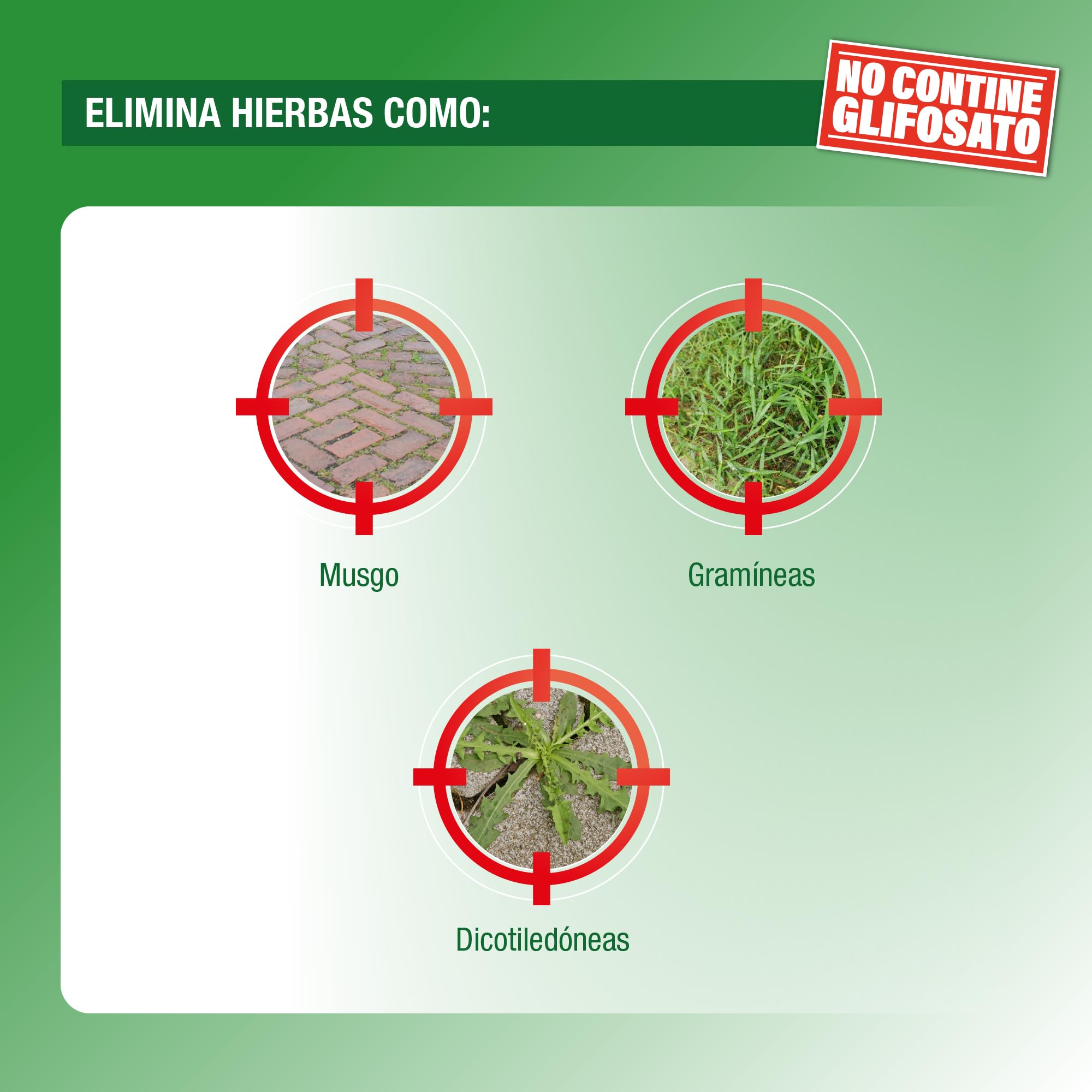 Protect Garden, Herbicida total de origen natural. Alternativa al glifosato de origen 100% natural. Acción rápida visible hasta 4 semanas. 480ml