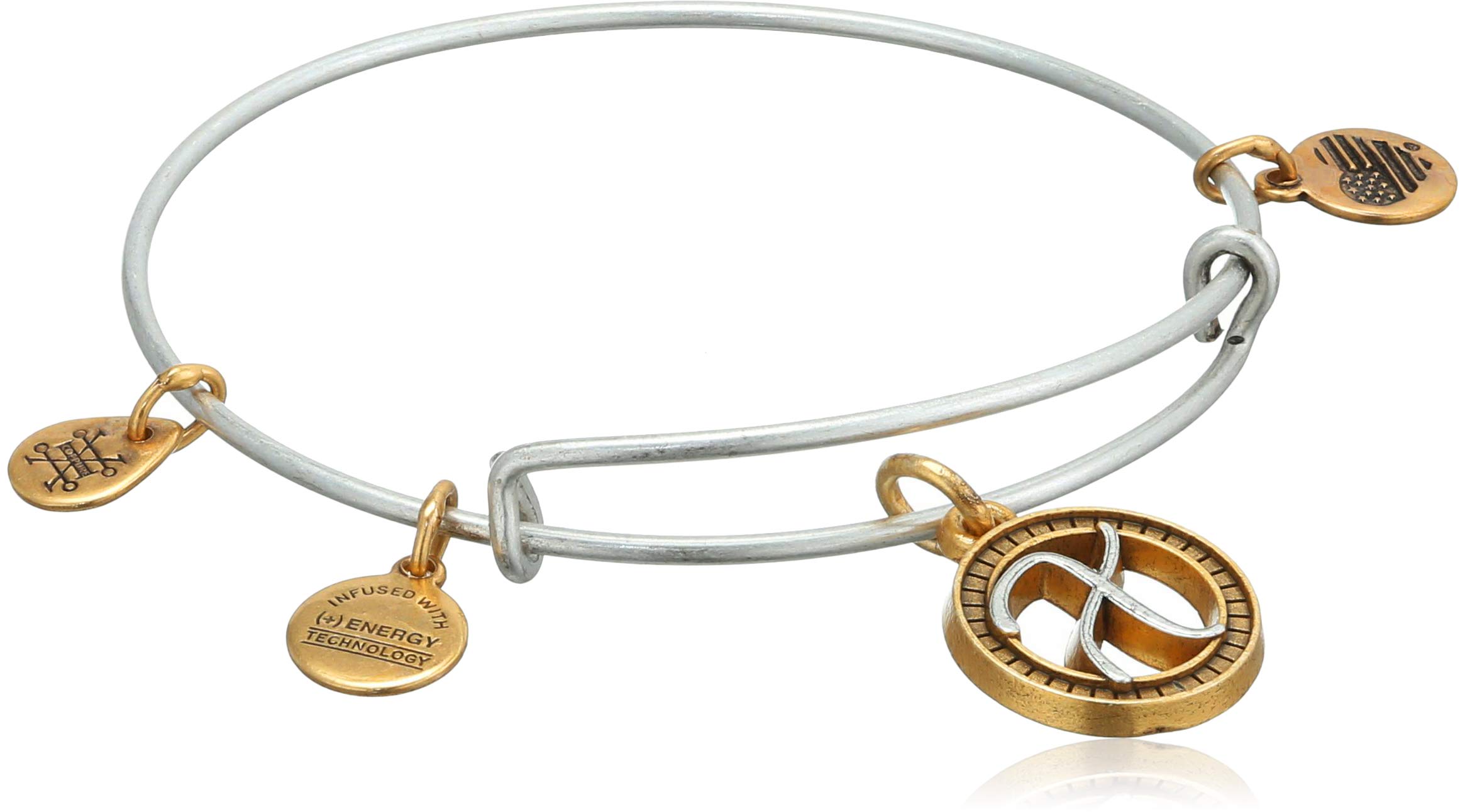Amazon.co.jp: Alex and Ani イニシャル X ツートンカラー チャーム