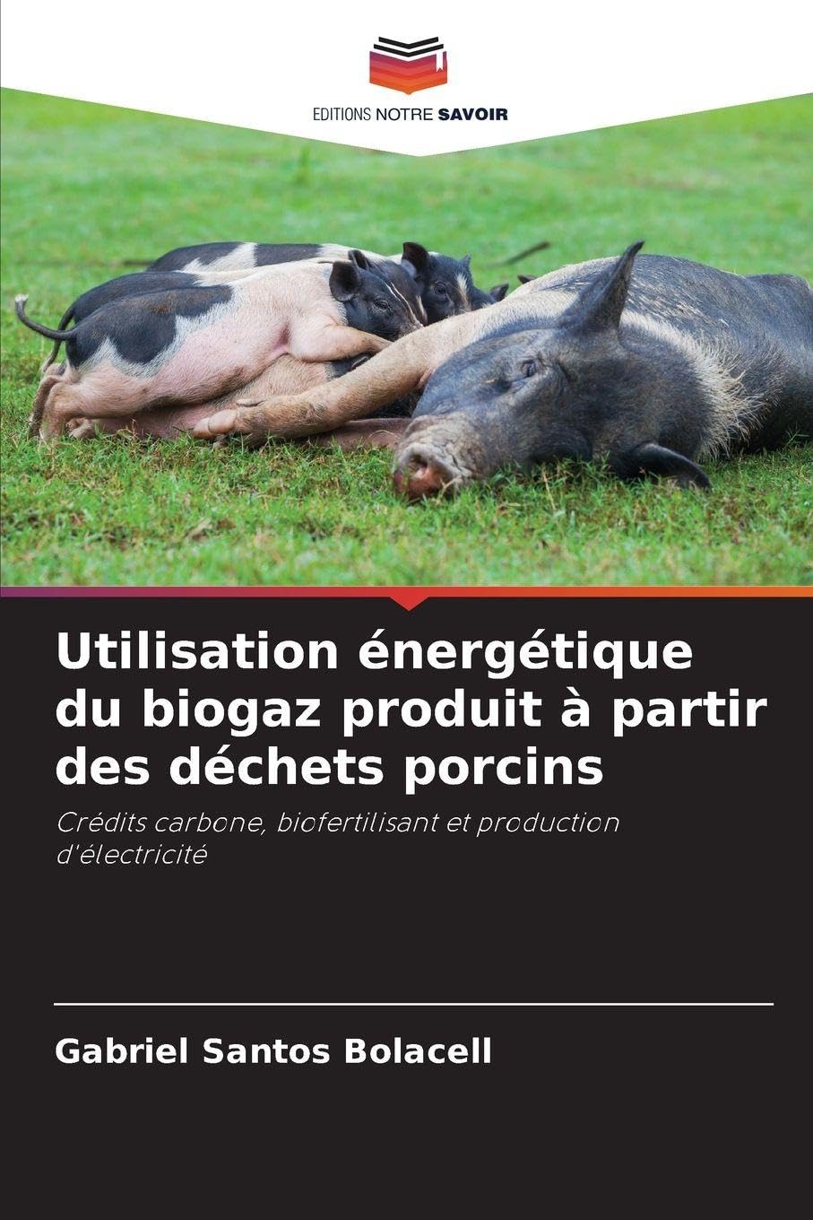 Utilisation énergétique du biogaz produit à partir des déchets porcins: Crédits carbone, biofertilisant et production d'électricité