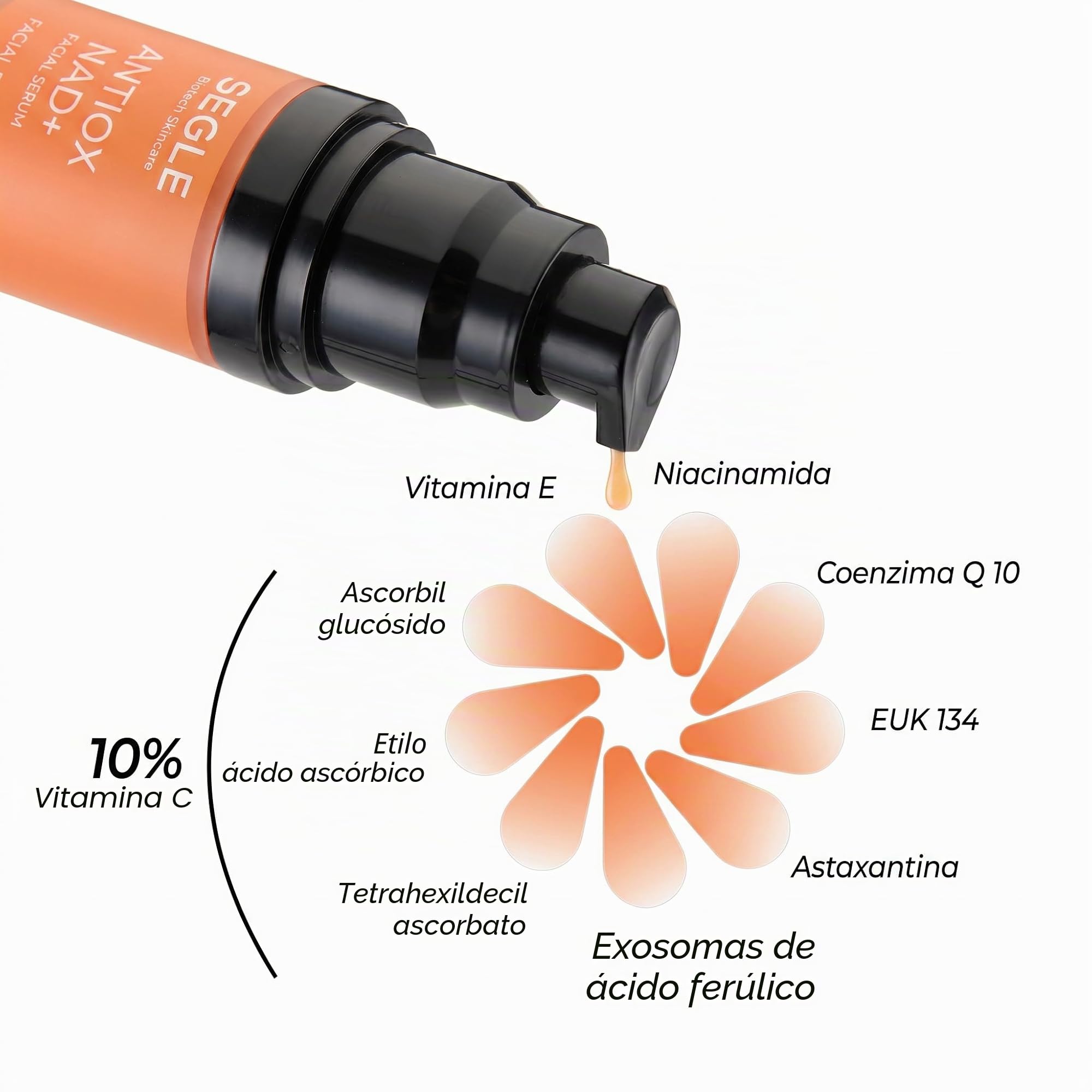 Segle | Sérum Antioxidante NAD + | Vitamina C y NAD + | 9 antioxidantes | Refuerza barrera cutánea con ceramidas | Aclara manchas, mejora luminosidad | Todo tipo de pieles