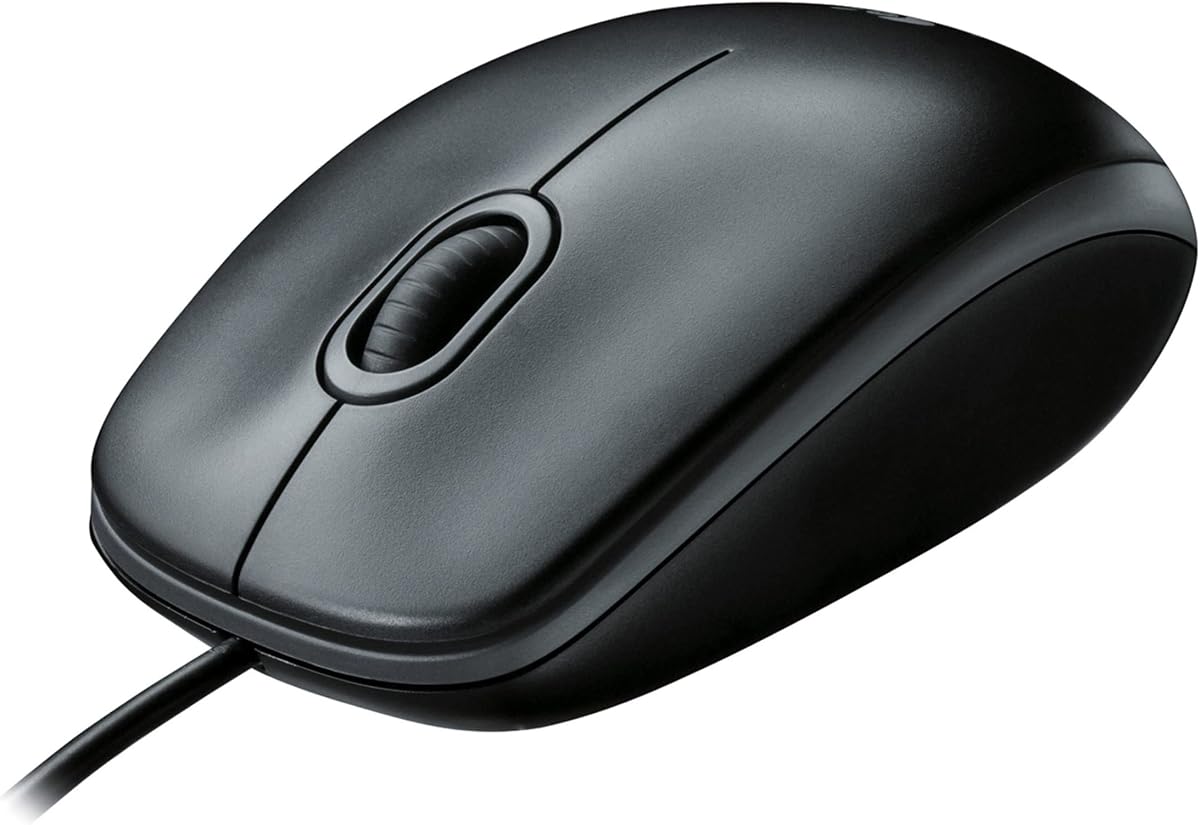 B100 Optical USB Mouse,Black