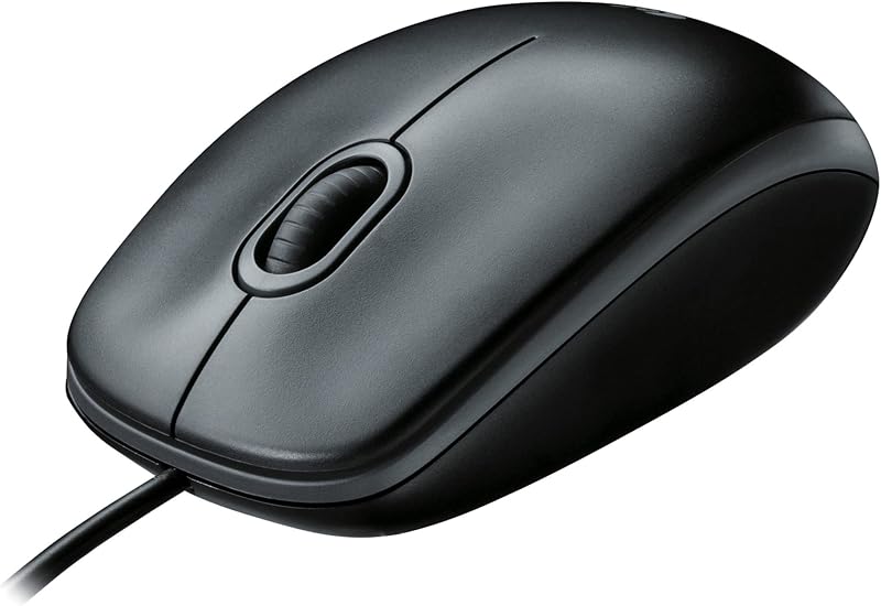 B100 Optical USB Mouse,Black