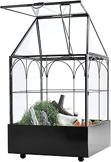 HighFree Glasterrarium mit Metallschale, Gewächshaus-Set für Sukkulenten, Kakteen, Schnecken, Spinnen und Miniaturreptilien, Schwarz, 15 x 15 x 26 cm