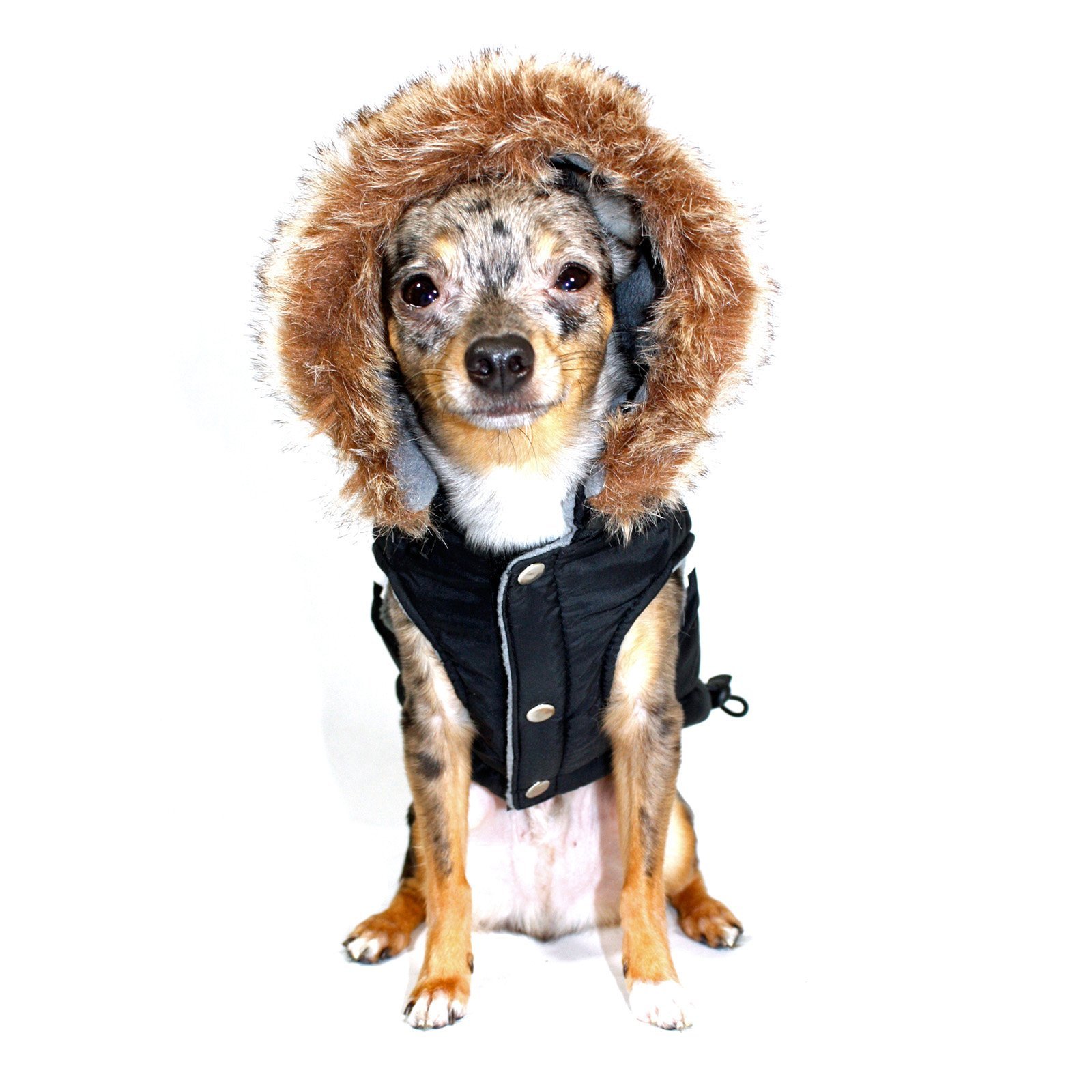 Hip Doggie Swiss Alpine Ski Vest HD 5SABK BDM BDM Coat, Black, 27 - Image 3