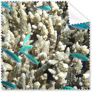 Ocean Fish Science Nature Picture Cleaning Cloth Phone Screen Glasses Cleaner 5pcs