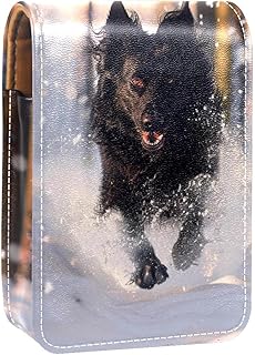 Makeup Organizer,Makeup Lipstick Case for Out...