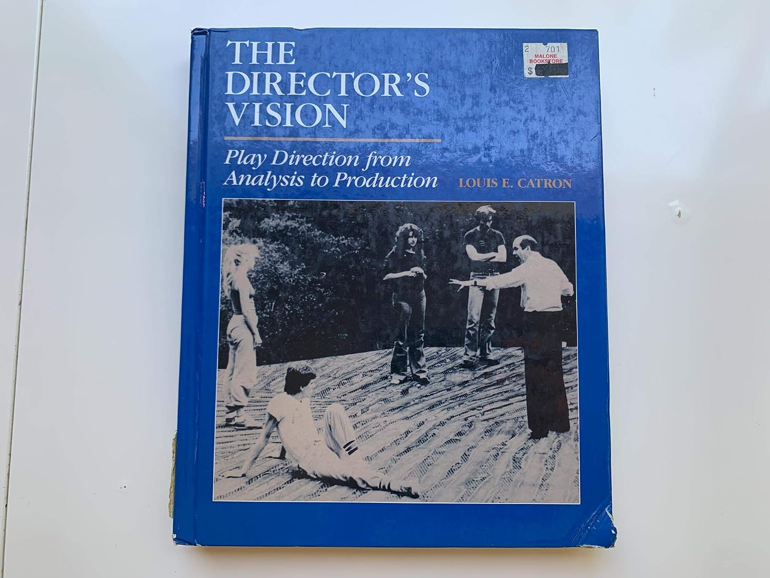 The Director's Vision: Play Direction from Analysis to Production