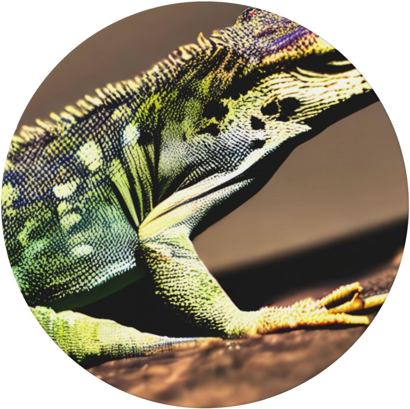 Lizard HD Print Outdoor Patio Kitchen Decor Supplies Wipeable Round Table Cloth for Indoor Outdoor