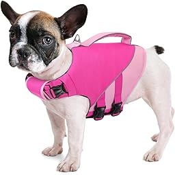 Queenmore Small Dog Life Jacket, Dog Life Vest for Swimming Boating, Puppy Swim Vest for Small Dogs, Ripstop High Visible Pet Water Vests with Strong Rescue Handle, Pink S