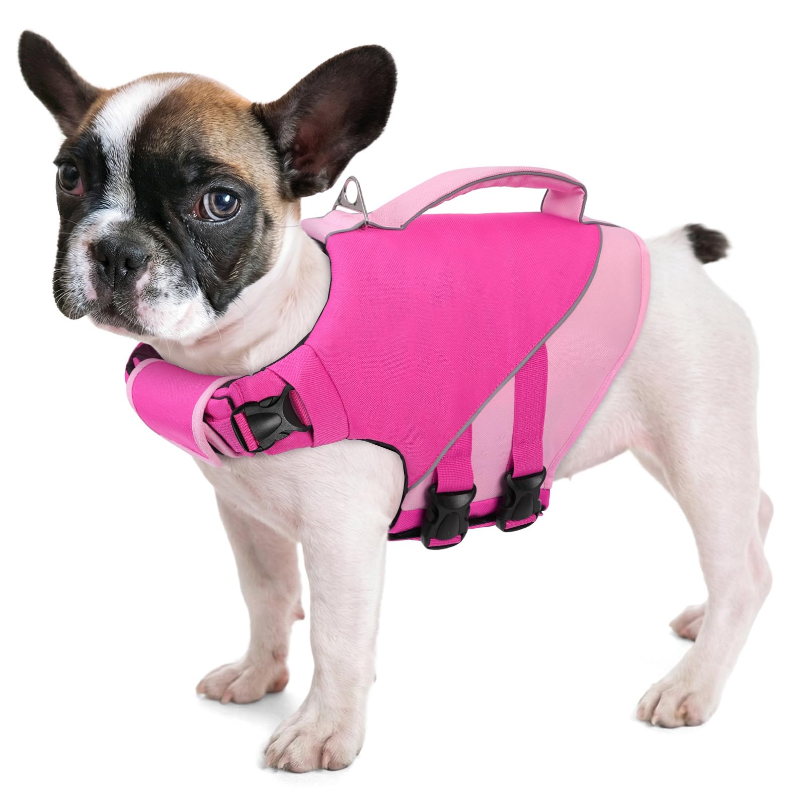Queenmore Small Dog Life Jacket, Dog Life Vest for Swimming Boating, Puppy Swim Vest for Small Dogs, Ripstop High Visible Pet Water Vests with Strong Rescue Handle, Pink S - 1