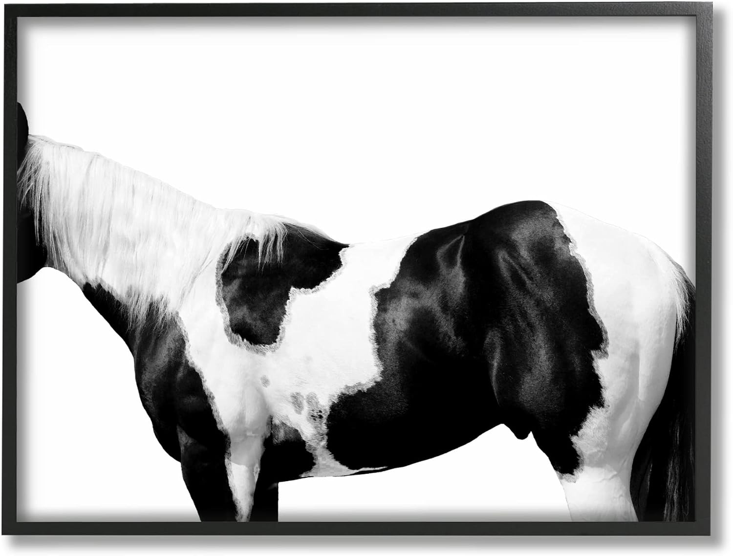 Stupell Industries Modern Horse Torso Photography Natural Animal Pattern, Design by Samantha Carter