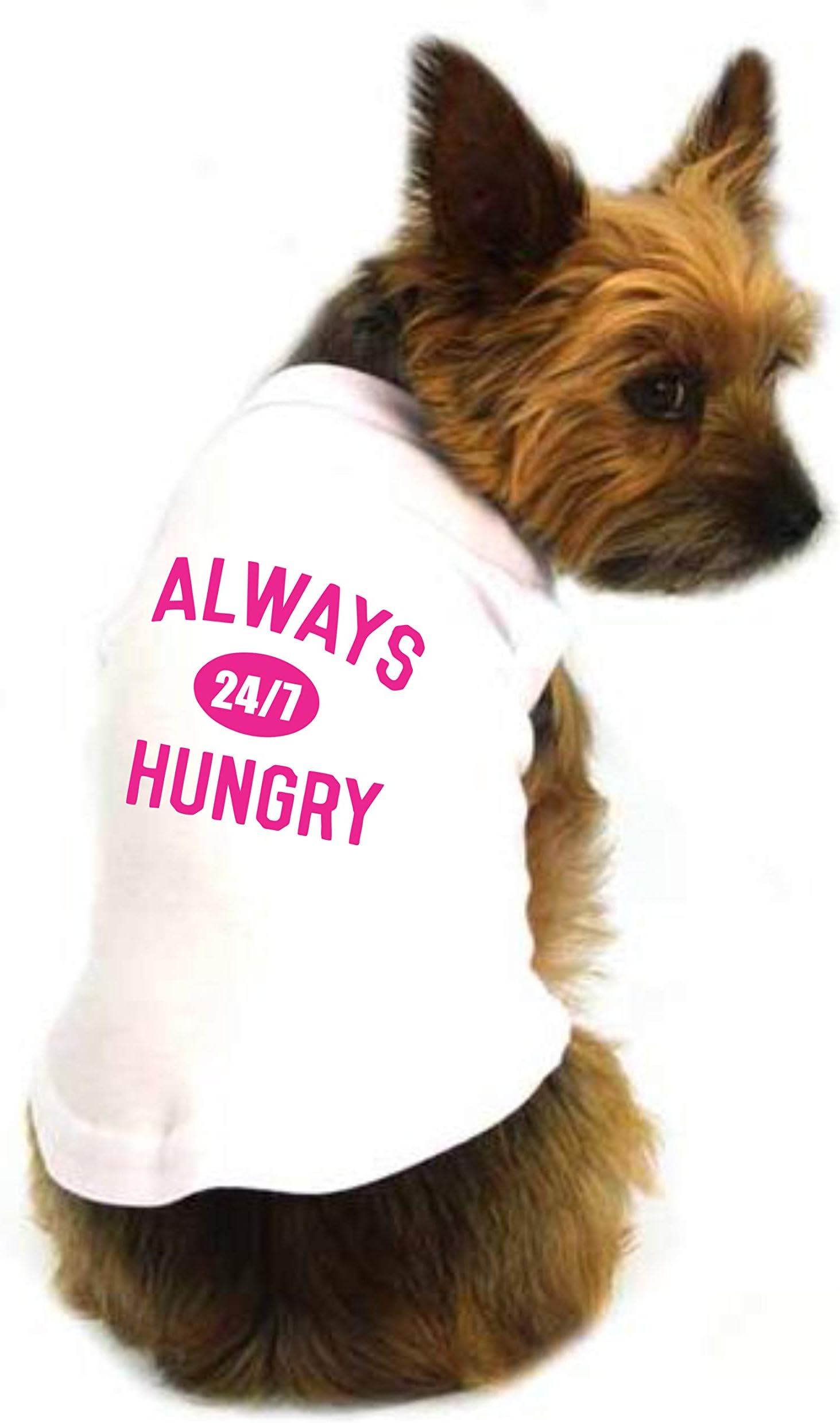 The Tee ShopThe Tee Shop Pet Clothing Collection Cool Funny Quote Printed Always Hungry on Pet Dog Cat Comfortable T-Shirt(White_L)