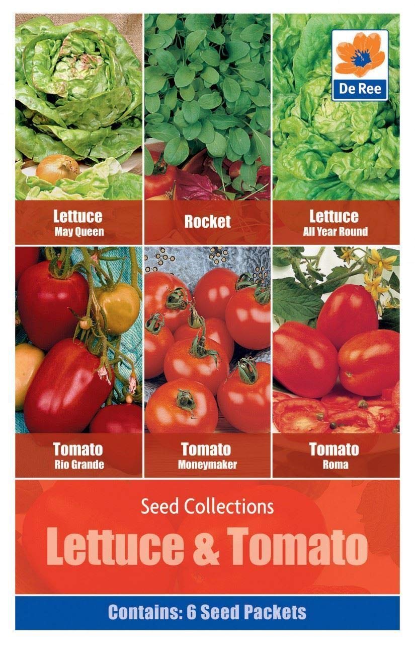 Seed Collection Pack Lettuce & Tomato Seeds Amazon.in Garden