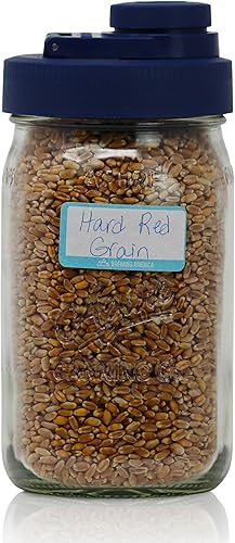 Miniatura 5 de Brewing America Jarra de cristal con tapa, tarro de bolas, 1 cuarto de galón (32 onzas) con tapa de boca ancha azul, para batidos, taza Boba, tarro