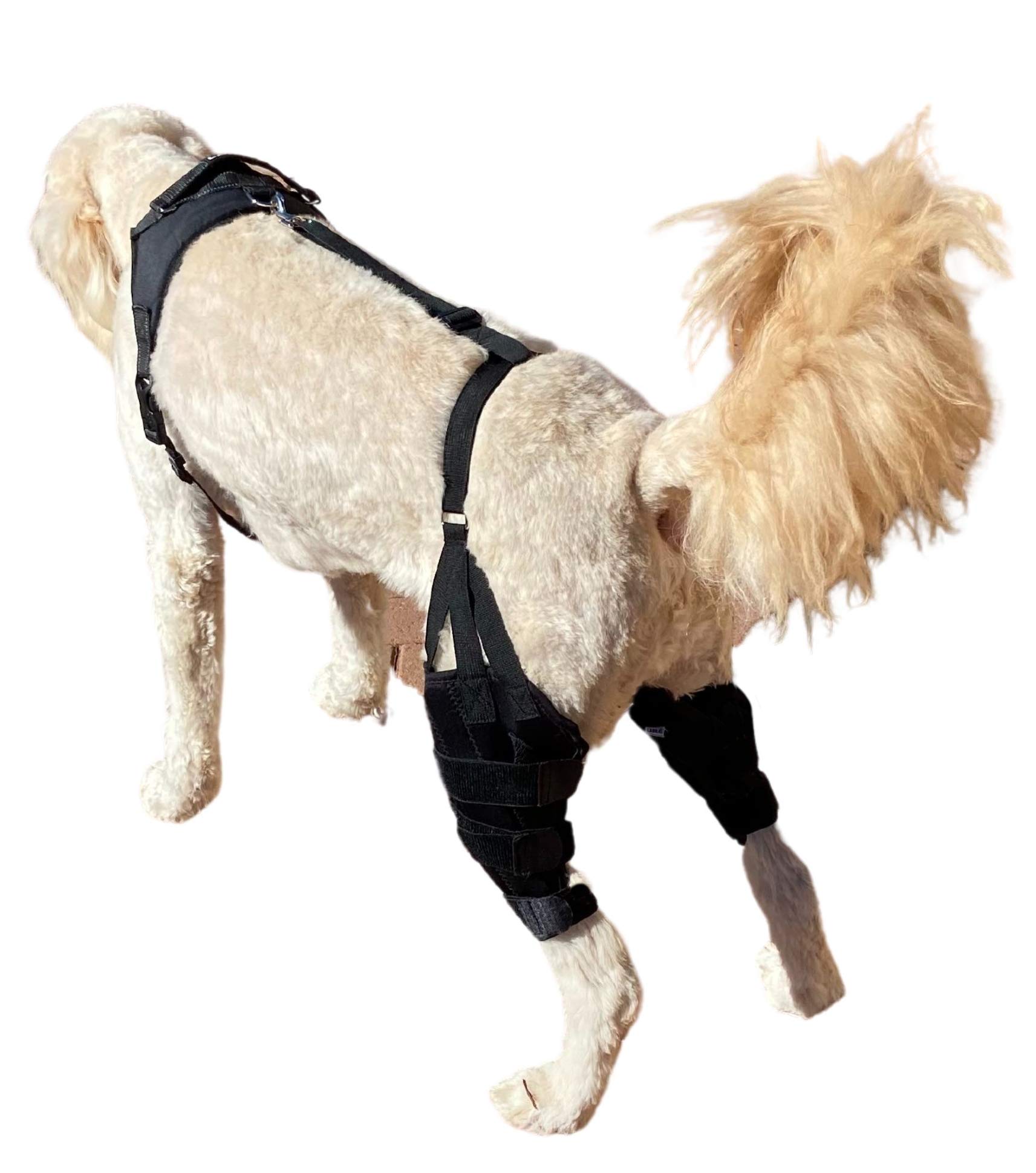 Labra Dog Canine K9 Dual Knee Stifle Brace Wrap Metal Hinged Flexible