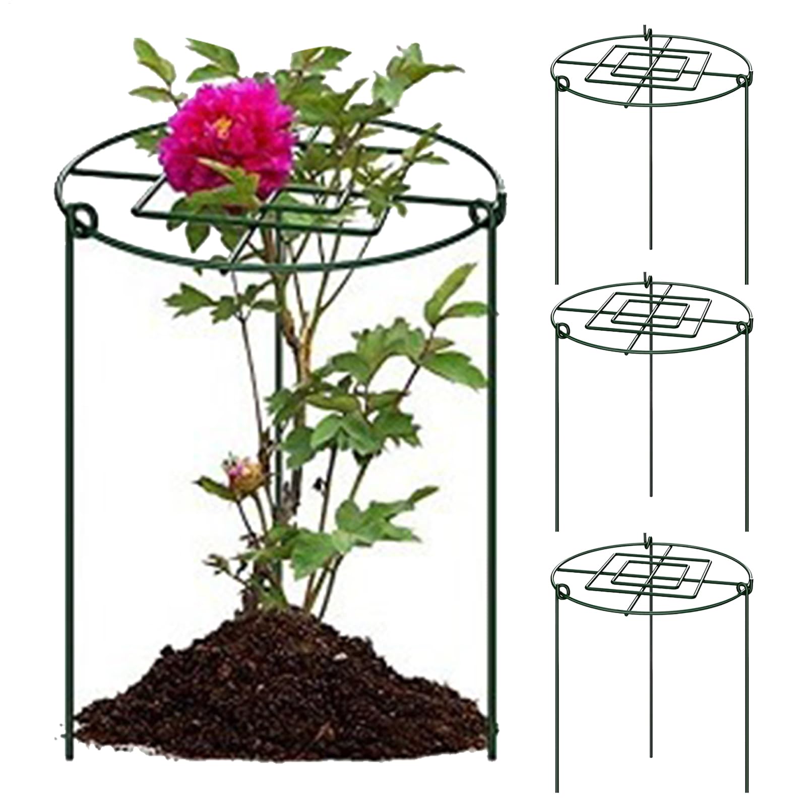 Cage à plante extérieure avec cadre de jardin résistant à la rouille