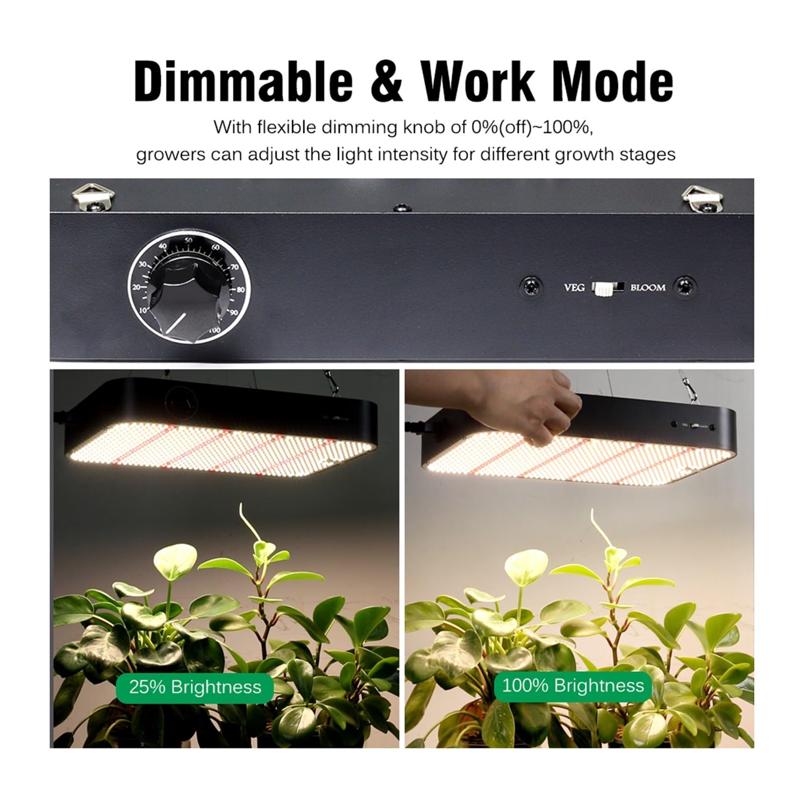 Lampada da coltivazione a LED for piante con ventola di raffreddamento a luminosità regolabile. Luce for serra giardino,Raffreddamento silenzioso(100W)