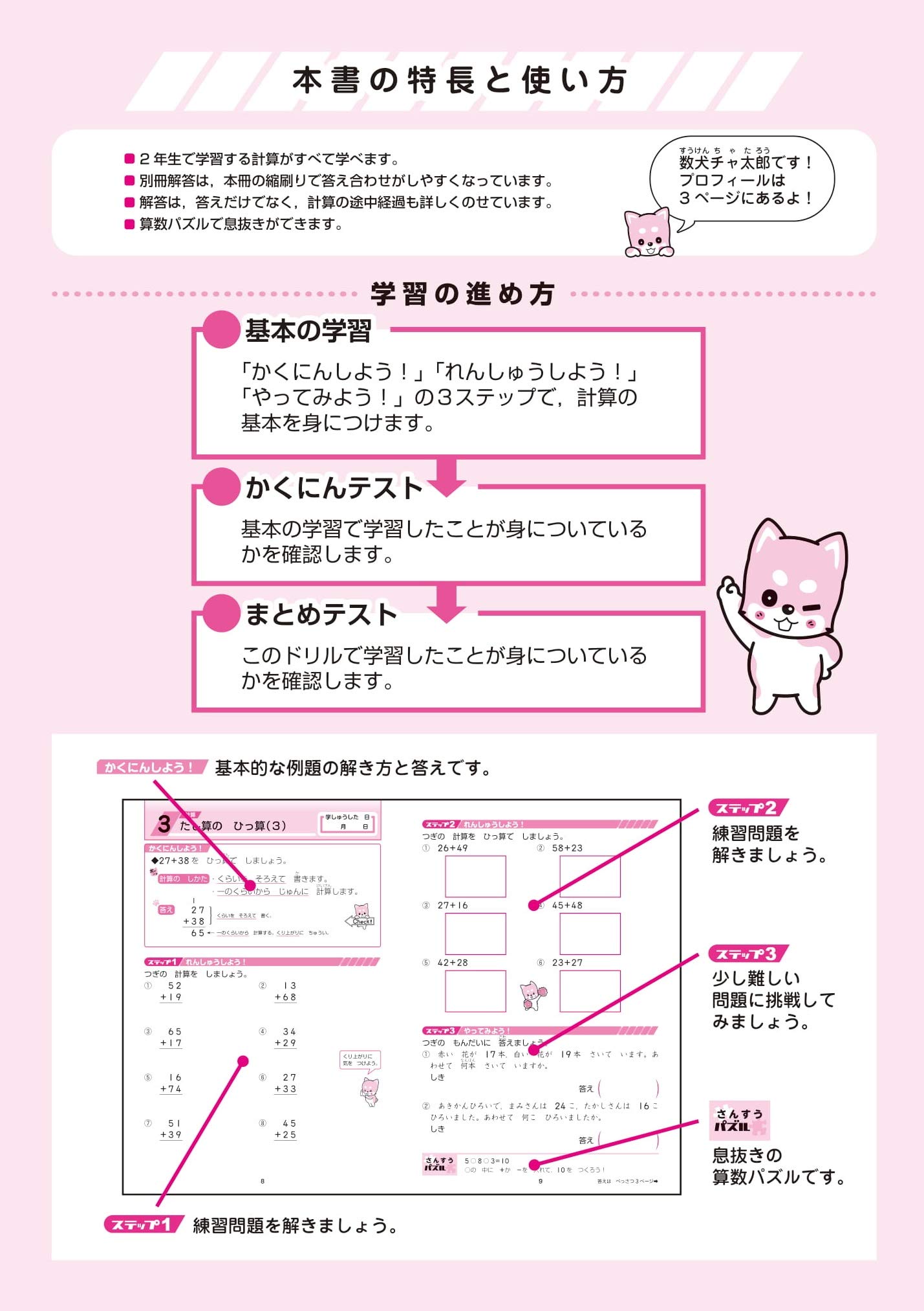 チャ太郎 23~Ninja ZX-4R SE/RR (8BL-ZX400P) POWERBOX パイプ ｜SP忠男