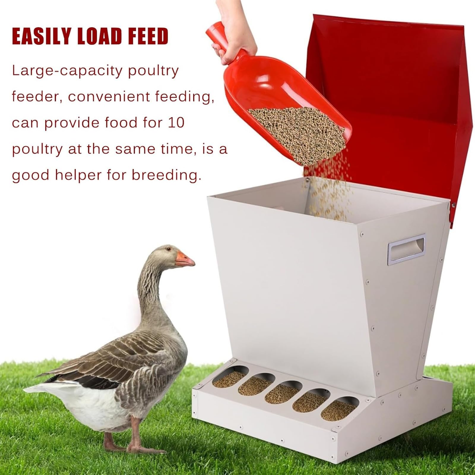 Comedero Automático para Pollos 11kg,comedero para Aves Corral Al Aire Libre con 10orificios Y Tapa Acero Inoxidable,alimentación Conveniente a Pedido Y Sin Desperdiciar,para Gallos, Faisanes
