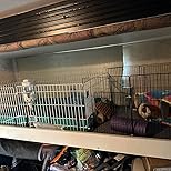 Customer Image, click to open customer review