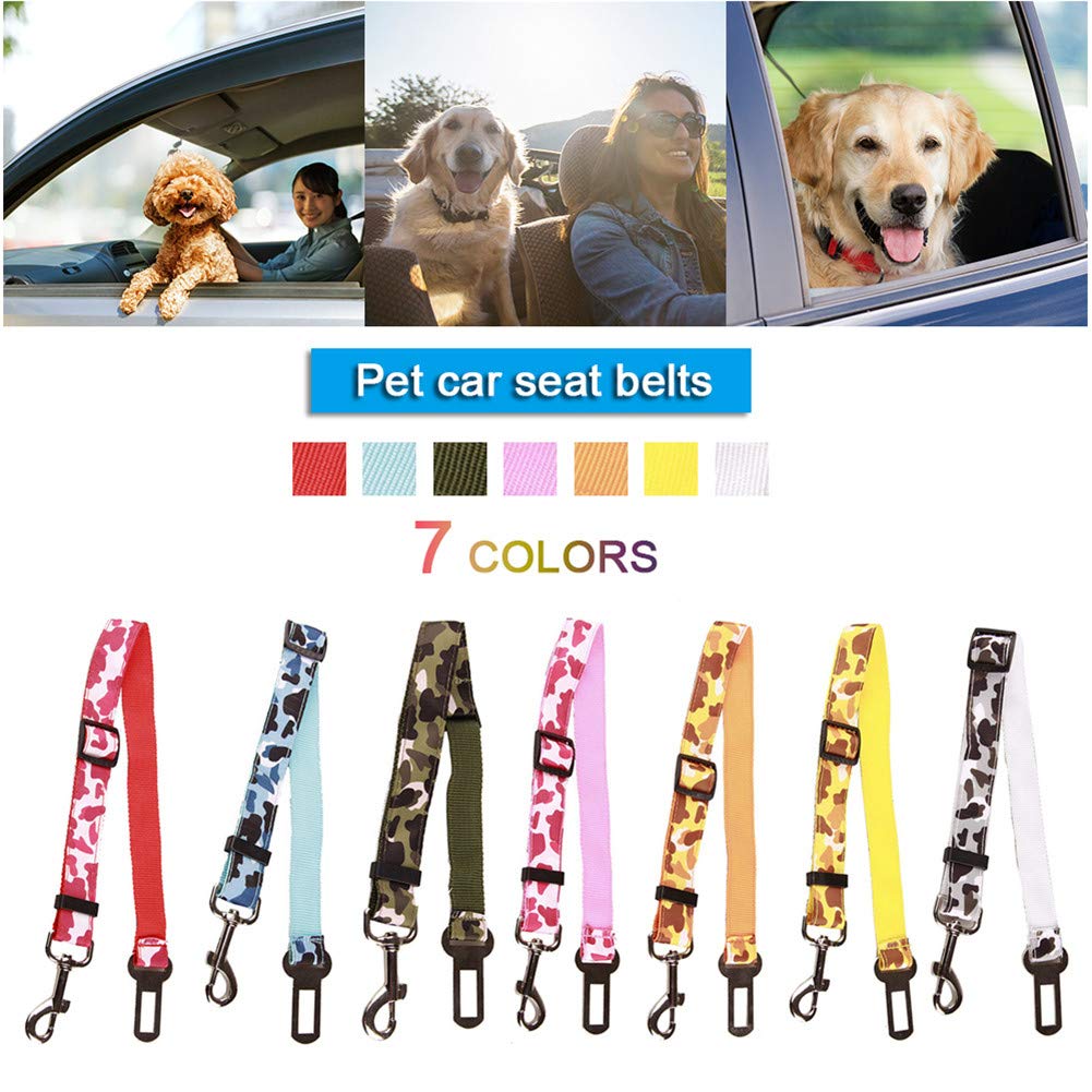 Laisse de course pour chien Laisse de dressage mains libres Laisse longue pour chien Laisse longue pour dressage de chiens Laisse de course pour chien Laisse de course pour chien Laisse de course pour