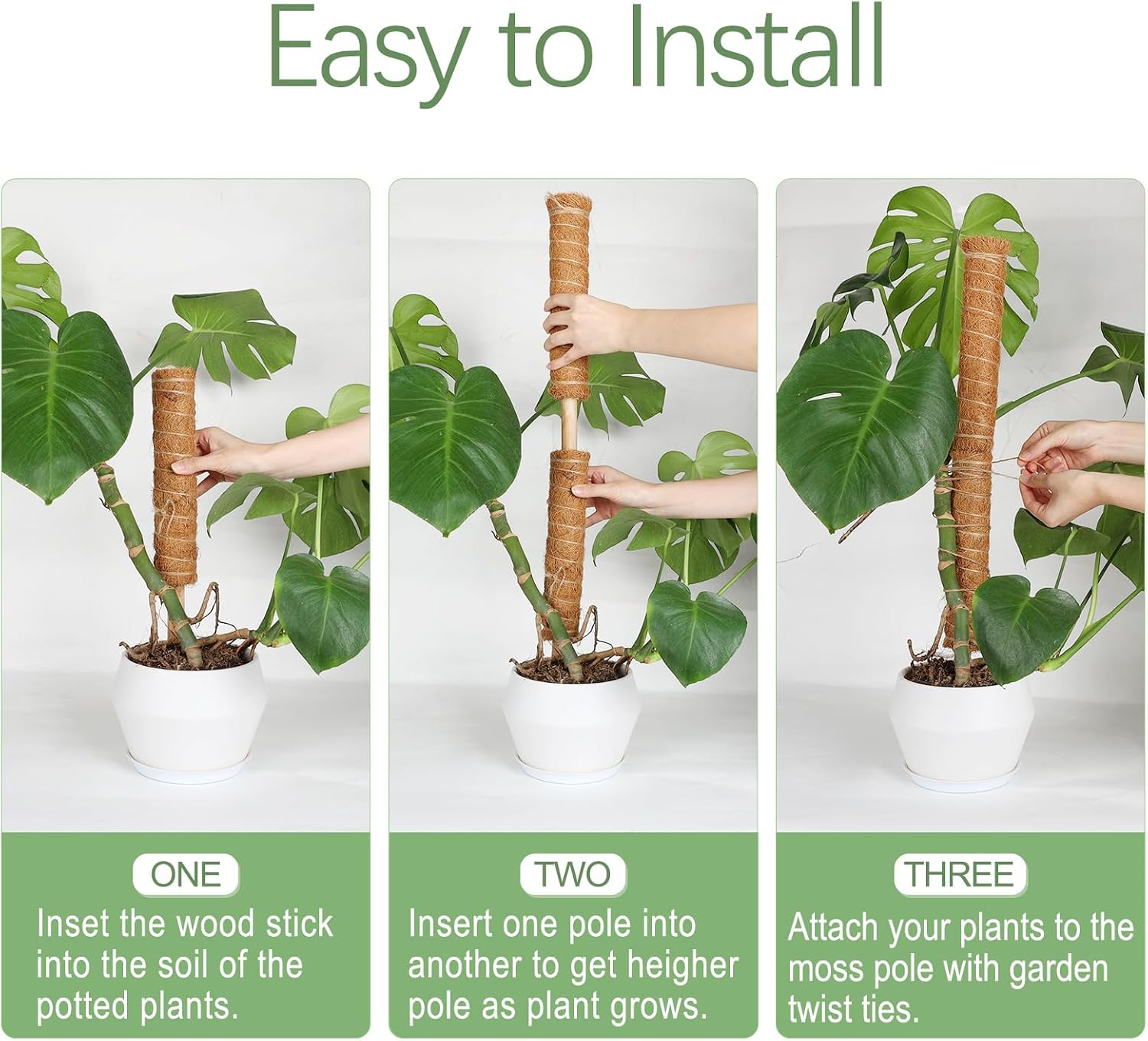 Joyhalo Moss Pole for Plants, 6 Pcs Moss Stick for Potted Plants, 15.7&12 Inch Plant Support for Climbing Plants Monstera, Plant Pole with 65 Feet Garden Twist Tie