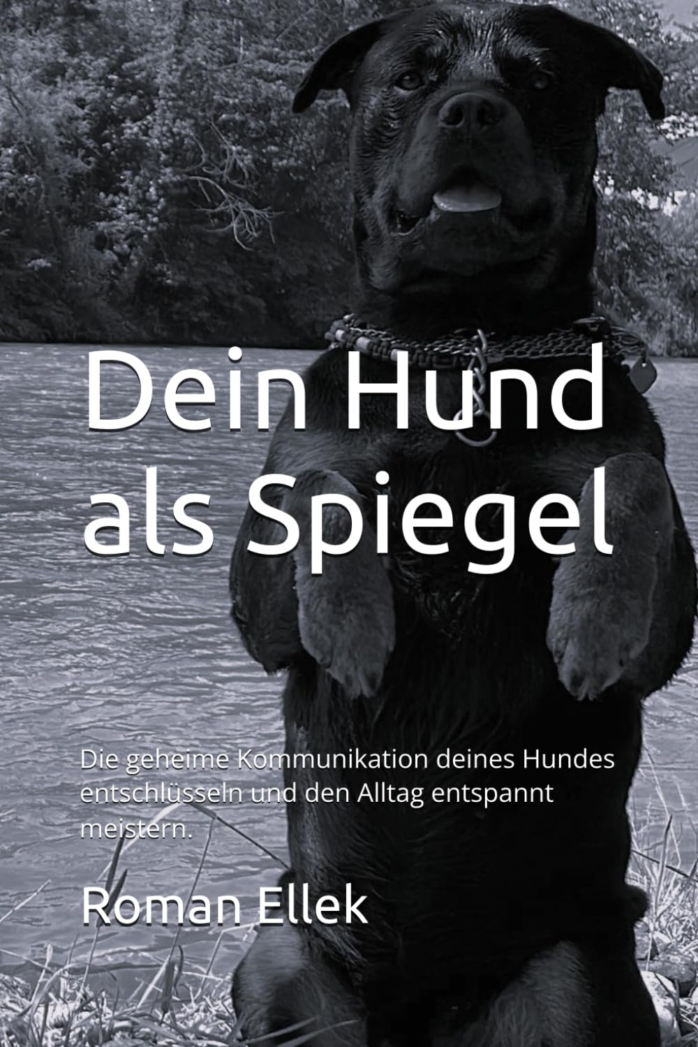 Dein Hund als Spiegel: Die geheime Kommunikation deines Hundes entschlüsseln und den Alltag entspannt meistern.