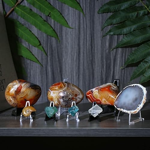 Miniatura 5 de Paquete de 12 soportes de exhibición de acrílico, soporte de caballete transparente para mostrar monedas, tarjetas deportivas, relojes de bolsillo,