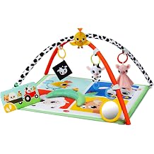 Tiny Love Gymini Deluxe, Baby Play Gym with Music, Into the Farm