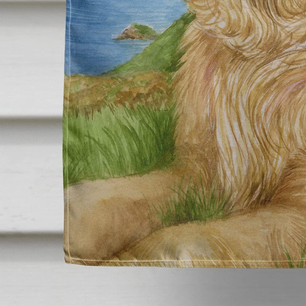 Caroline's Treasures CDCO0384CHF Golden Retriever by Debbie Cook House Flag Large Porch Sleeve Pole Decorative Outside Yard Banner Artwork Wall Hanging, Polyester, House Size, Multicolor