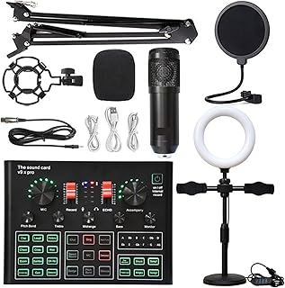 THEGIS Sound Card Kit Professional Condenser Microphone Bluetooth Wireless Karaoke Sound Card With Cantilever Bracket Fill Light Studio Setup For Recording Music (Color : Black suit, Size : 1)