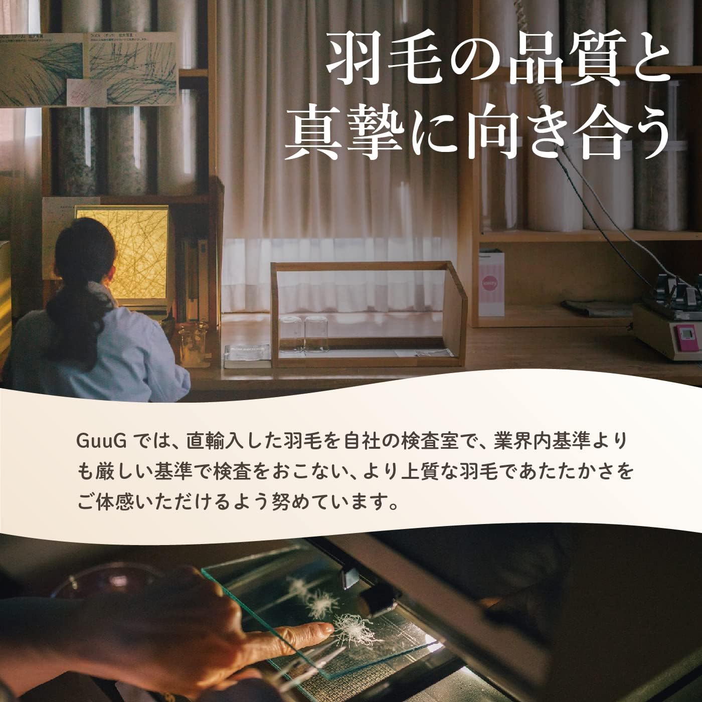Amazon.co.jp: 羽毛肌掛け布団 シングルサイズ 2枚セット 無地 日本製
