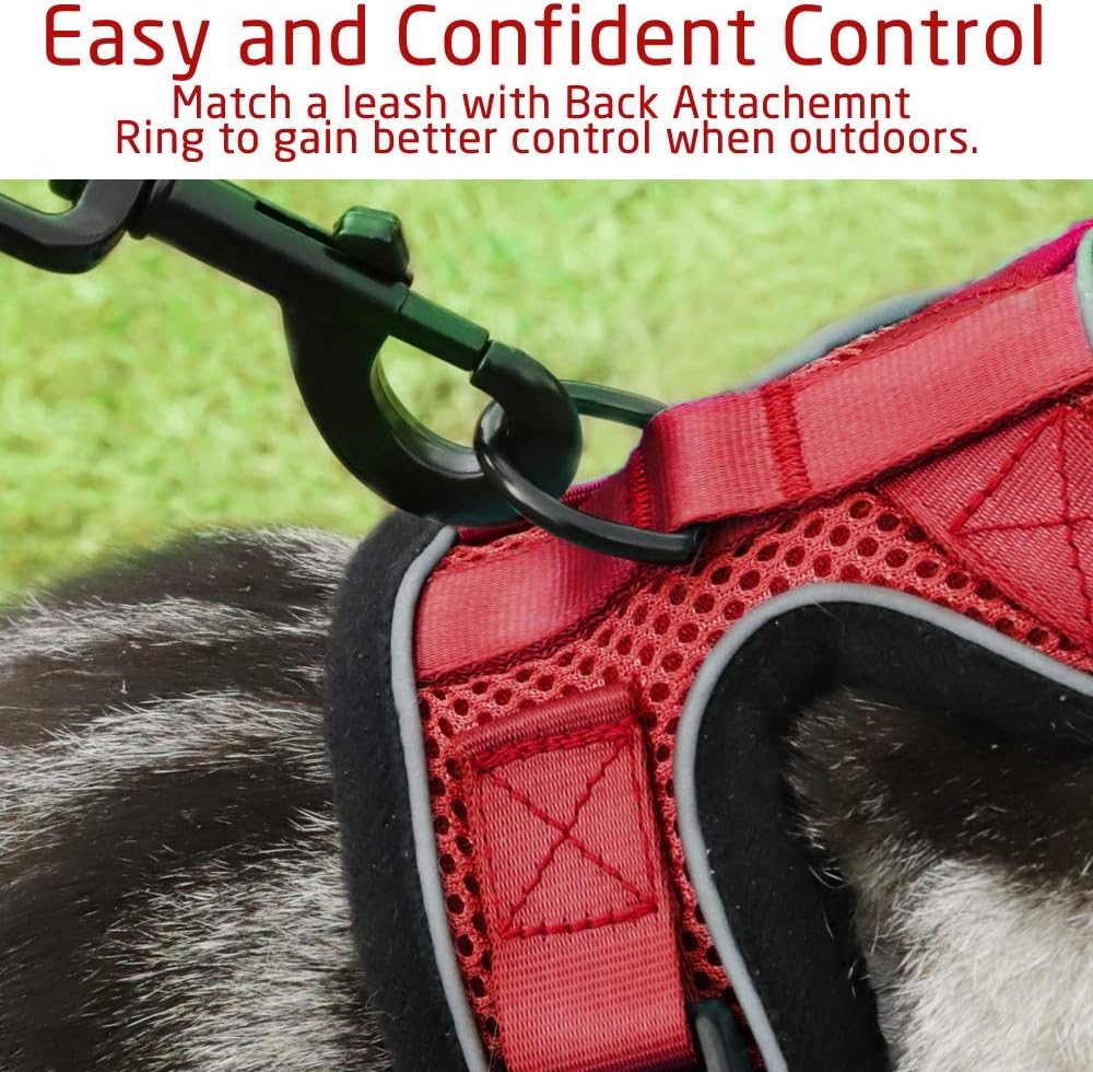 rabbitgoo Cat Harness Escape Proof, Adjustable Small Pets Vest Harnesses, No Choke No Pull Design for Best Safety and Comfort - Soft Mesh Kitten Puppy Harness with Reflective Strips, Red
